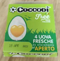 Uova fresche