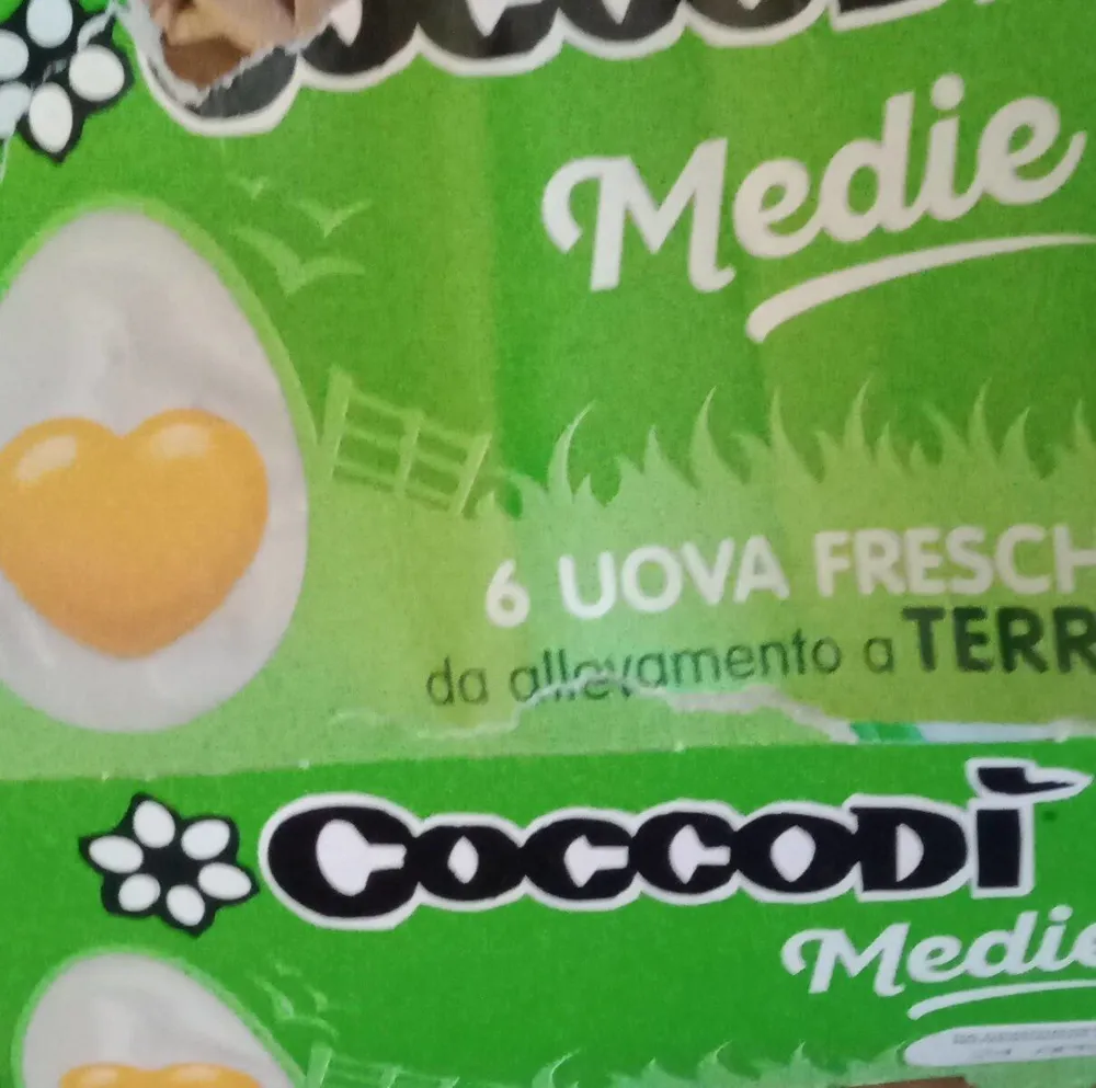 Uova medie