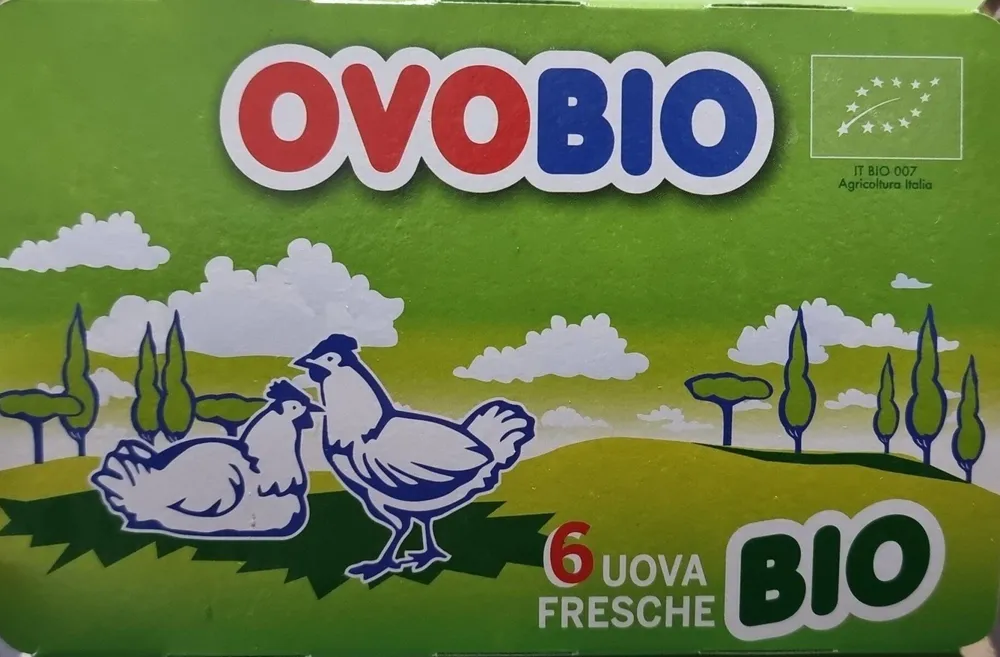 Uova fresche bio