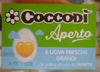 6 Uova Fresce Grandi