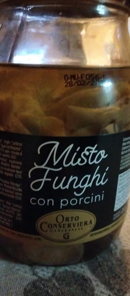 Misto funghi con porcini