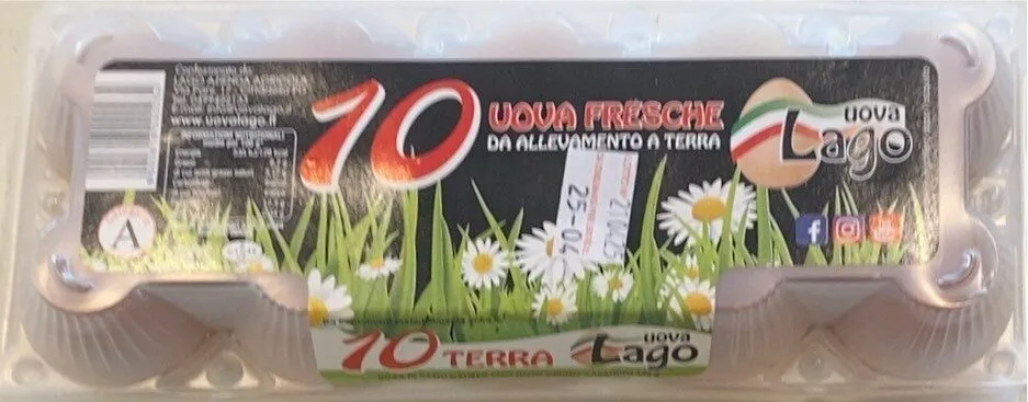 Uova fresche