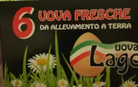 Uova Lago da allevamento a terra