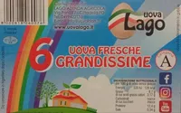 6 Uova Fresche Grandissime
