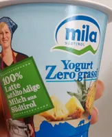 Yogurt Zero grassi