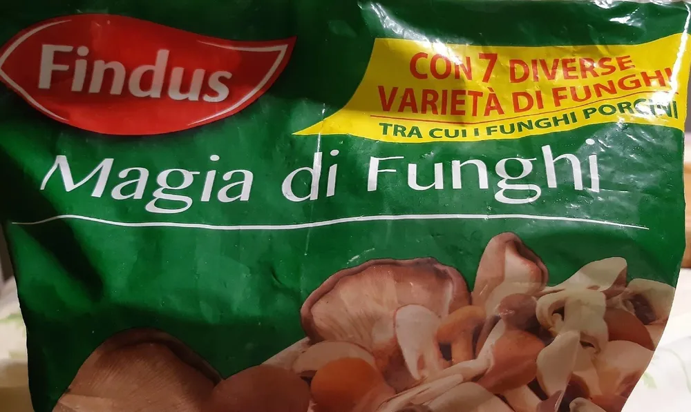 Magia di funghi