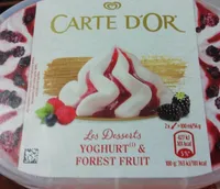 Helado de yogur y frutas del bosque tarrina