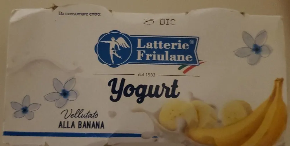 Yogurt