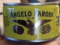 Trancio di tonno di olio d’oliva