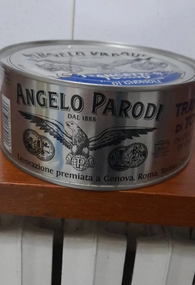 Angelo parodi