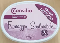 Formaggio spalmabile senza lattosio