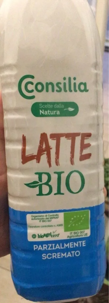 Latte