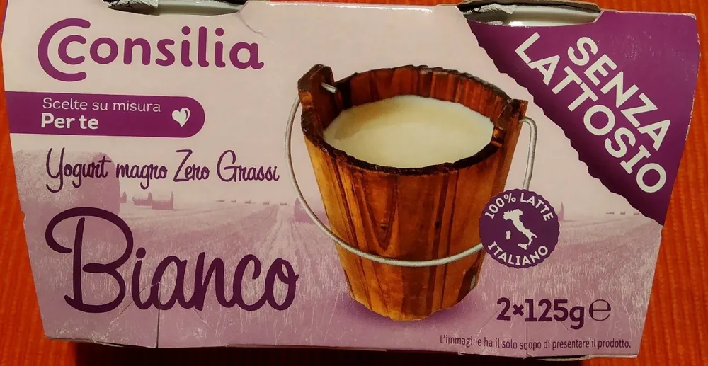 Yogurt magro zero grassi senza lattosio