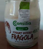 Yogurt intero Bio Fragola