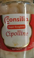 Cipolline