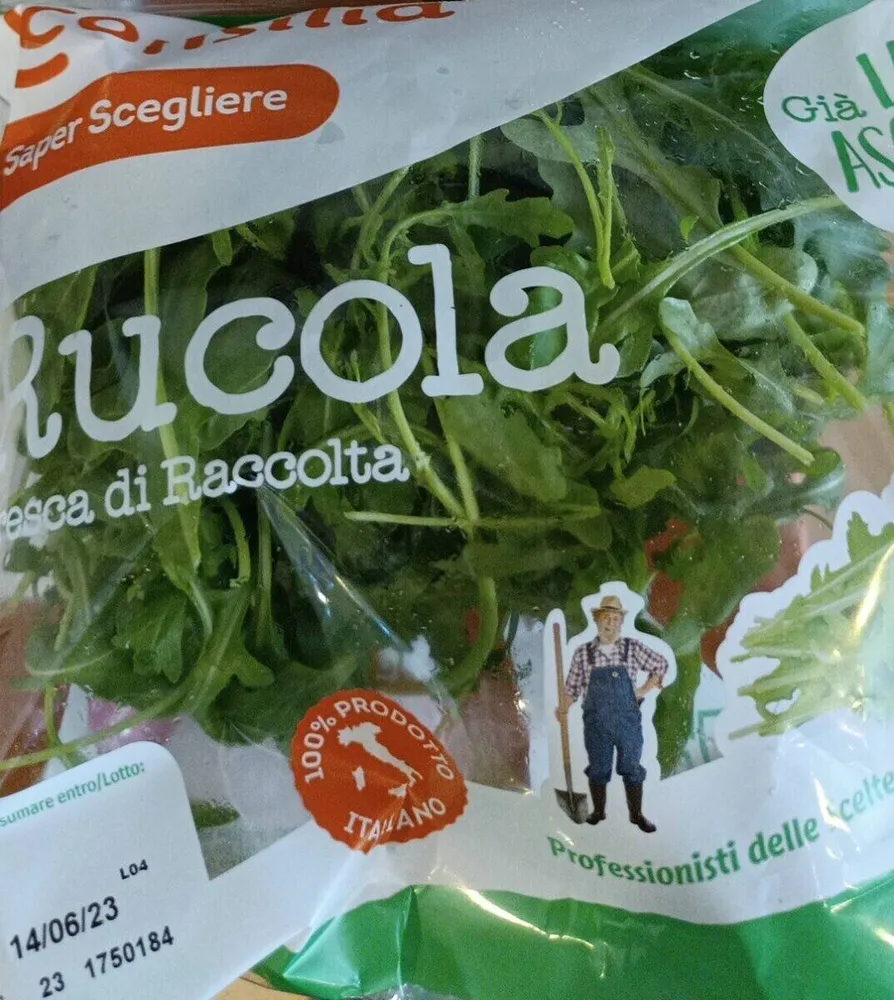 Rucola