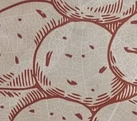 Patate nuovo raccolto bio