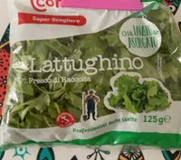 Lattighino