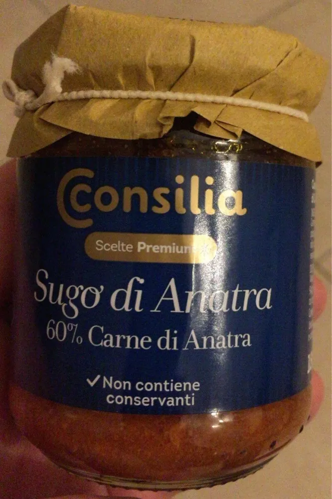 Sugo di anatra