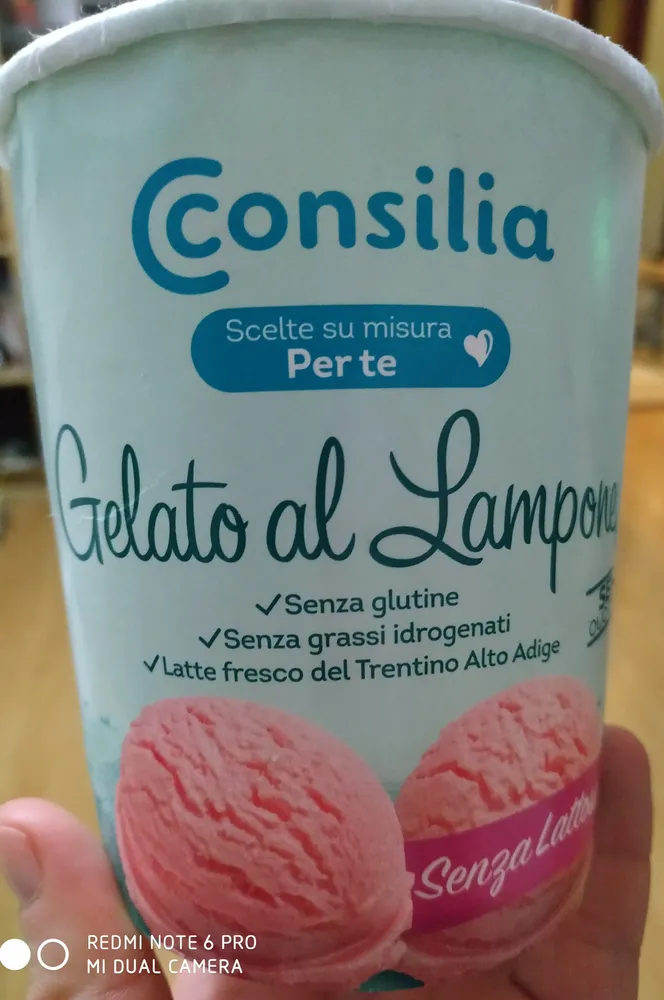 Gelato al lampone