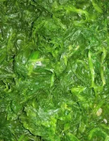 Spinaci in foglia