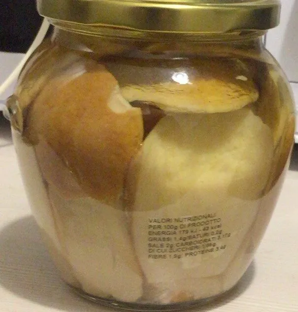 Funghi porcini