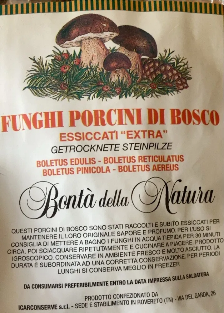 Funghi porcini di bosco