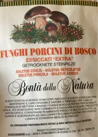 Funghi porcini di bosco