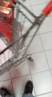 Coniglio omogeneizzato
