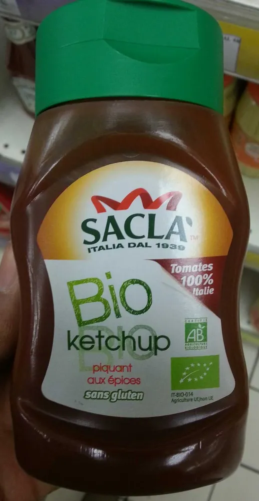 Ketchup piquant aux épices Bio