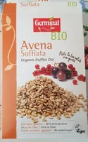 Avena soffiata