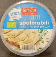 Spalmabile cremoso all’erba cipollina