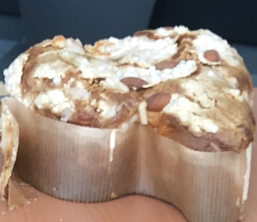 Panettone