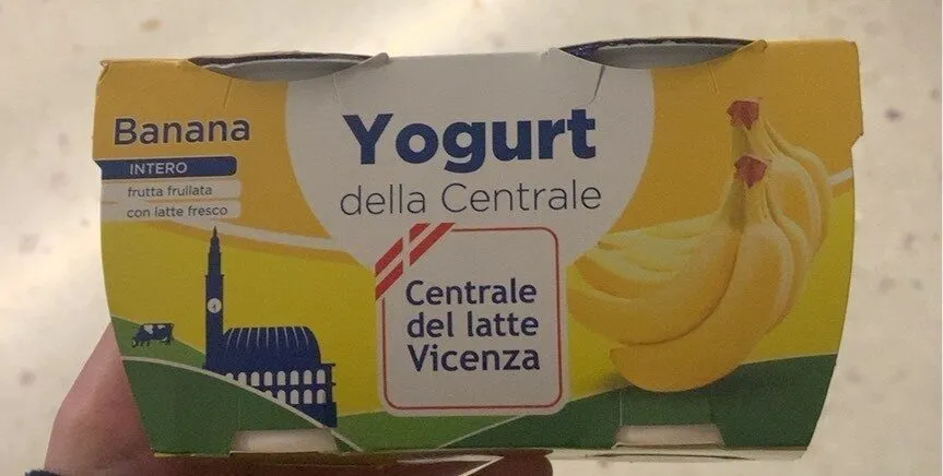 Yogurt