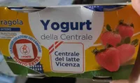Yogurt