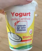 Yogurt bianco magro