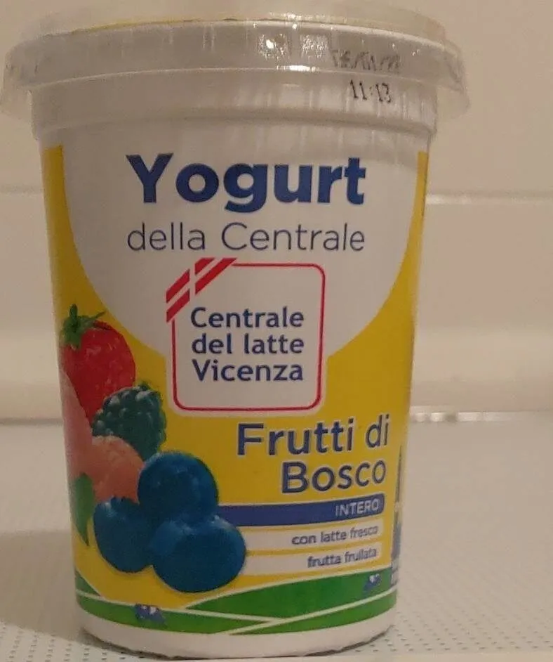 Yogurt frutti di bosco