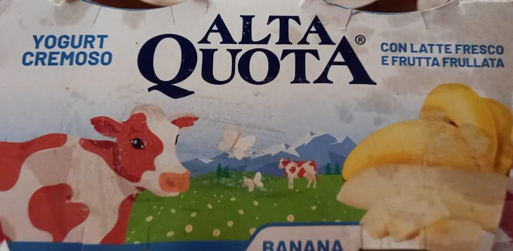 Yogurt