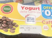 Yogurt