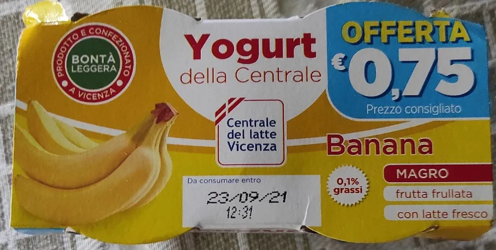 Yogurt