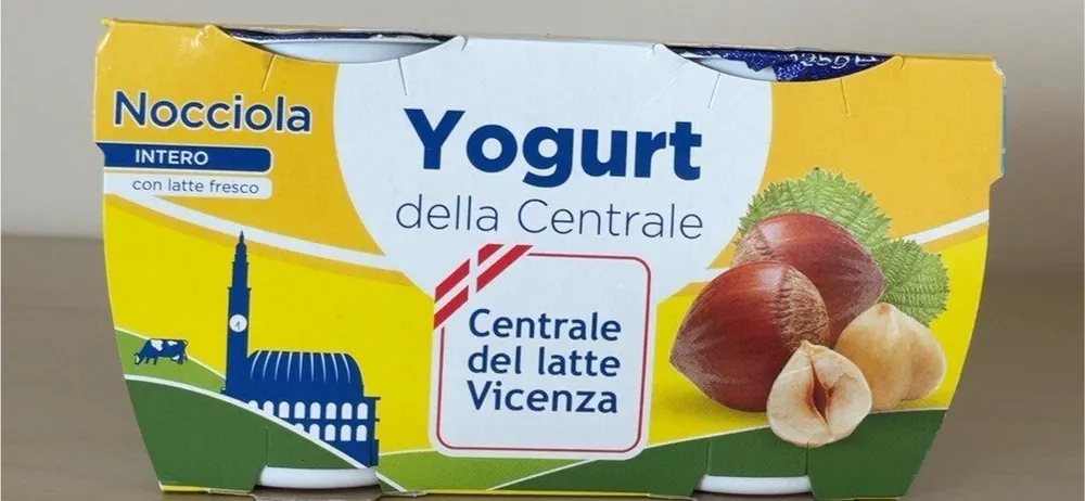 Yogurt alla nocciola