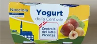 Yogurt alla nocciola