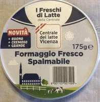 Formaggio fresco spalmabile