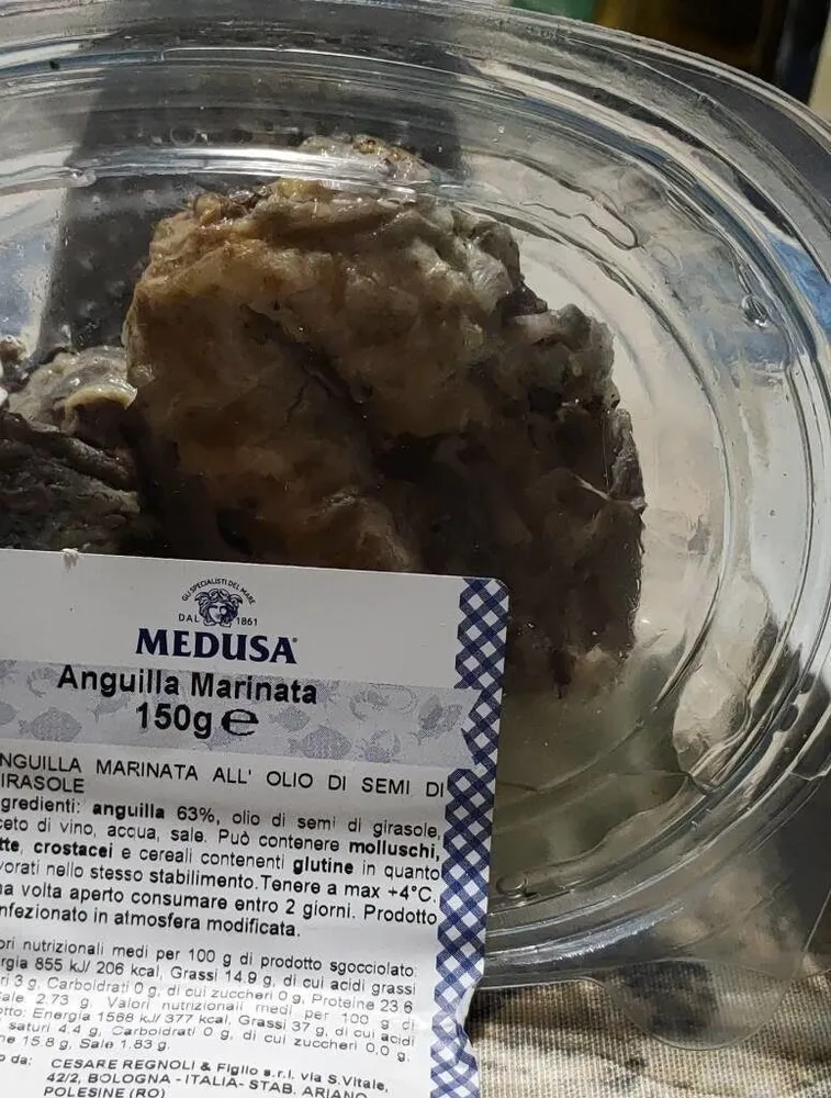 Anguilla marinata