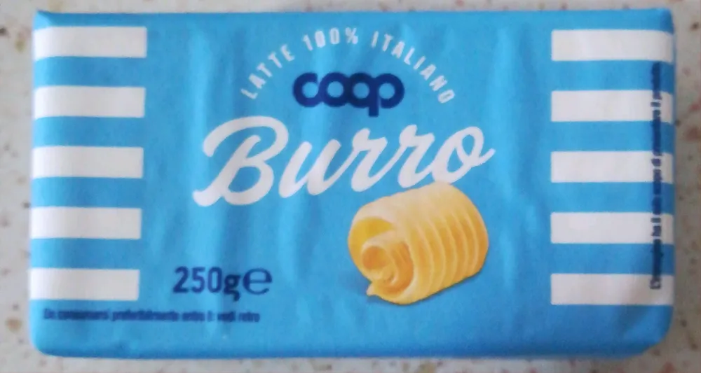 Burro