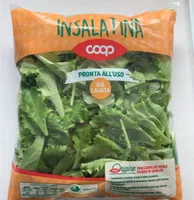 Insalatina