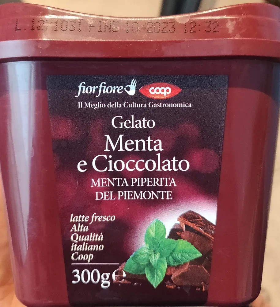 Gelato menta e cioccolato