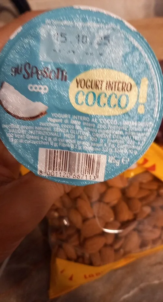 Yogurt Intero Cocco