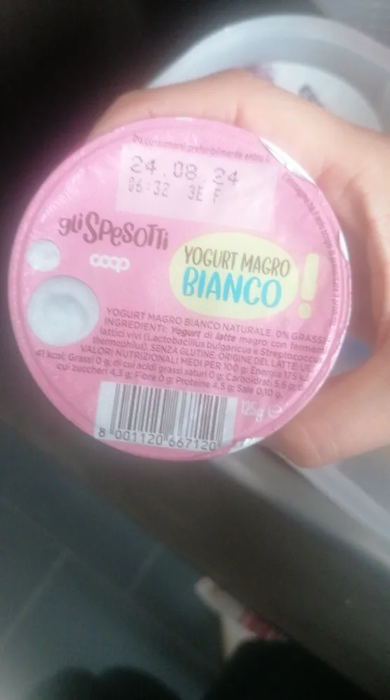 Yogurt Magro