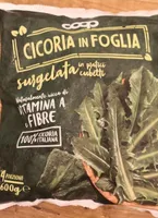 Cicoria in foglia